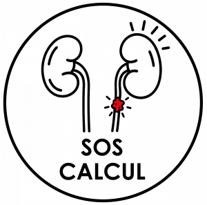 Logo sos calcul 300x297